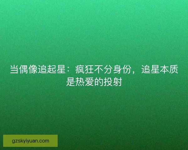 当偶像追起星：疯狂不分身份，追星本质是热爱的投射