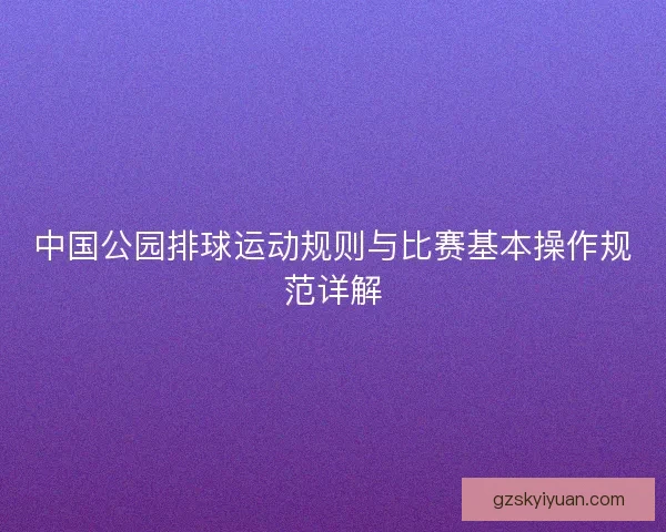中国公园排球运动规则与比赛基本操作规范详解